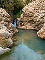 Valley in Chebika Oasis