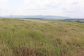 Западниот дел на наоѓалиштето (поглед од север)