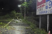 台風による倒木