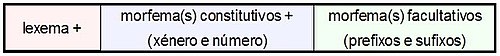 morfoloxía do adxectivo