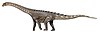 Artist's restoration of Ampelosaurus.