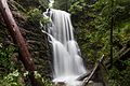 Berry Creek Falls