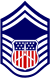 Cadet senior master sergeant insignia