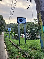 Southbound sign in Palmarejo, Corozal