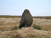 Menhir de la Demoiselle de Bracqueville