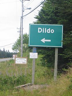 A road sign welcoming drivers to Dildo.