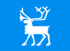 Flag of Tromsø