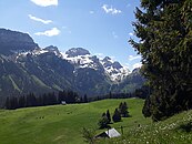 Grabserberg mit Margelkopf, Gamskopf und Sichelchamm (von links nach rechts)