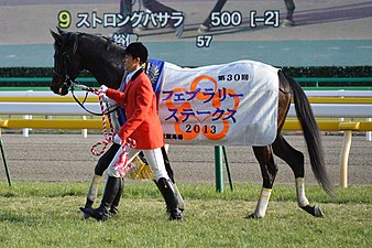 2013年冠軍「果釀醇酒」