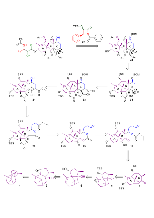 Holton taxol total synthesis retrosynthesis