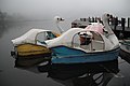 Photo couleur de pédalos en forme de cygne, sur une étendue d'eau couverte de brume.