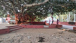 Batabrukhya of Maa Ramachandi Temple