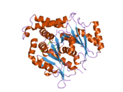 1z5w: Crystal Structure of gamma-tubulin bound to GTP