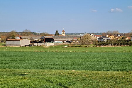 Paysage rural.