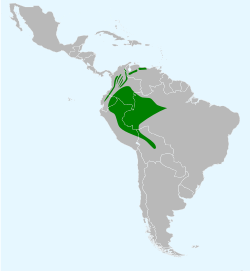 Distribución en verde.