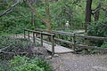 Pulgas Ridge Open Space Preserve