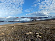 Scylla 氷河と Charybdis 氷河の合流点