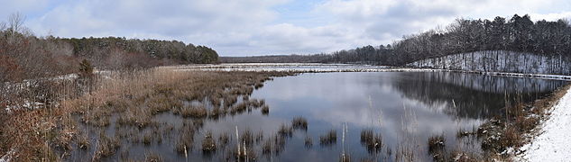 Winter at the University of Mississippi Field Station
