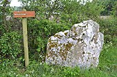 Menhir de Souchais