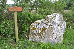 Image illustrative de l’article Menhir de la Souchais