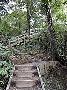 Some of the 1349 steps on the Summit Track