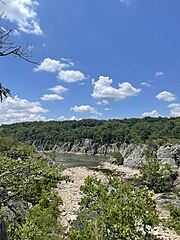 View of the Potomac River from Trail (via Bear Island)