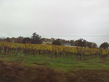 Vignobles de Diusse.