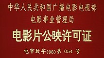 《競選村長》