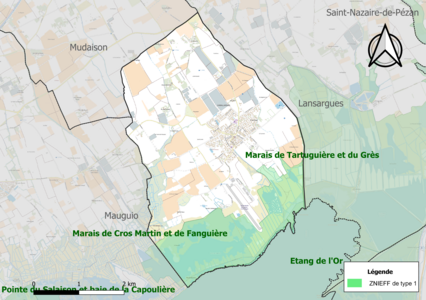 Carte des ZNIEFF de type 1 sur la commune.