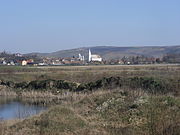 View of Viișoara