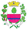 Coat of arms of Ouro Verde