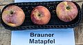 Brauner Matapfel