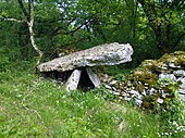 name=Dolmen des Causses Hauts no 1