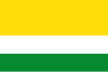 Flag of Valle de San Juan