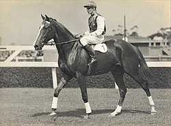 Gold Rod, 1936 winner