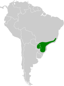 Distribución geográfica del verdillo coronado.