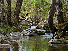 Le ruisseau Auzon.