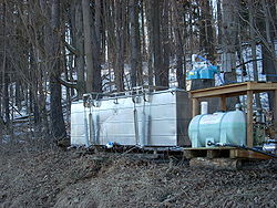 Gathering sap from maple trees in Clymer Township