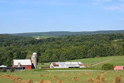 34. Mount Davis in Pennsylvania (background mountain)