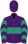 Purple, emerald green hoop, emerald green and purple chevrons on sleeves