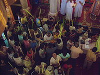 Orthodox congregation in India collects palm fronds for procession: men on left of sanctuary in the photo; women collecting fronds on right of sanctuary, outside photo.