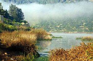 מאגר בית זית הוא אגם עונתי מלאכותי, השוכן בתוואי נחל שורק, סמוך למושב בית זית שממערב לירושלים.