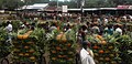 Pineapple market, Jolsotro