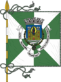 Bandera de Oporto