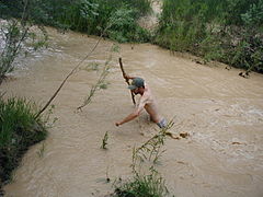 Caminante cruzando el Escalante durante las inundaciones de la primavera (2005)