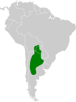 Distribución geográfica de la bandurrita chaqueña.