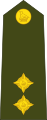Lieutenant (Zimbabwe National Army)