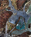 Aerial view of the Kingston Fossil Plant coal fly ash slurry spill