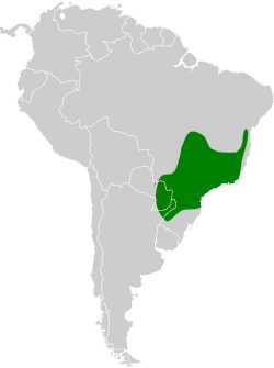 Distribución geográfica del ticotico ocráceo chico.