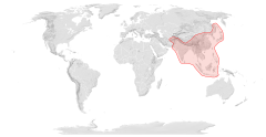 Distribuição geográfica da Apis cerana no mundo.